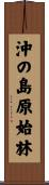 沖の島原始林 Scroll