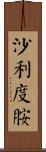 沙利度胺 Scroll