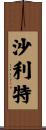 Shalit Scroll