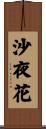 沙夜花 Scroll