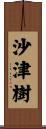 沙津樹 Scroll