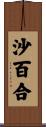 沙百合 Scroll