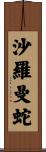 沙羅曼蛇 Scroll
