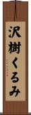 沢樹くるみ Scroll