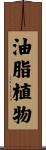 油脂植物 Scroll