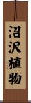 沼沢植物 Scroll