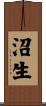 沼生 Scroll