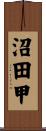 沼田甲 Scroll