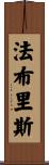 Fabrice Scroll