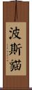 波斯貓 Scroll