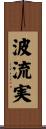 波流実 Scroll
