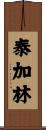 泰加林 Scroll