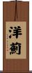洋薊 Scroll