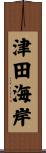 津田海岸 Scroll