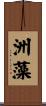 洲藻 Scroll