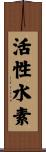 活性水素 Scroll