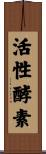 活性酵素 Scroll