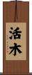 活木 Scroll