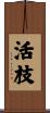活枝 Scroll