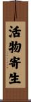 活物寄生 Scroll