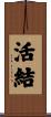 活結 Scroll