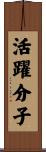 活躍分子 Scroll