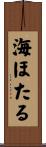 海ほたる Scroll