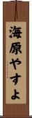 海原やすよ Scroll