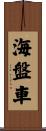 海盤車 Scroll