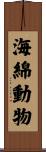 海綿動物 Scroll