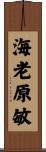 海老原敏 Scroll
