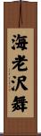 海老沢舞 Scroll