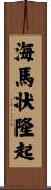 海馬状隆起 Scroll