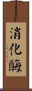 消化酶 Scroll
