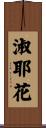 淑耶花 Scroll