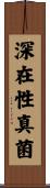 深在性真菌 Scroll