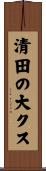清田の大クス Scroll