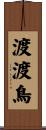 渡渡鳥 Scroll