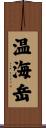 温海岳 Scroll