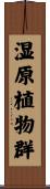 湿原植物群 Scroll