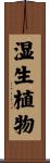 湿生植物 Scroll