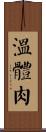 溫體肉 Scroll