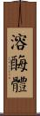 溶酶體 Scroll