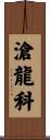 滄龍科 Scroll
