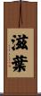 滋葉 Scroll