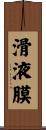 滑液膜 Scroll