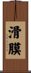 滑膜 Scroll