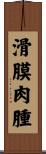滑膜肉腫 Scroll