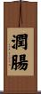 潤腸 Scroll