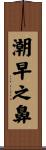 潮早之鼻 Scroll